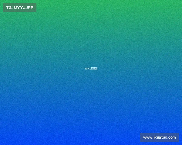 wtcc冠军车型 wtcc冠军车型